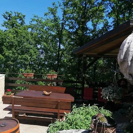 Apartment At The With Your Dog