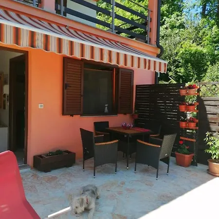 At The With Your Dog Apartment