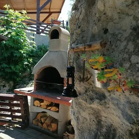 At The With Your Dog Apartment *