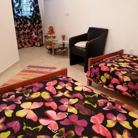 At The With Your Dog Apartment *