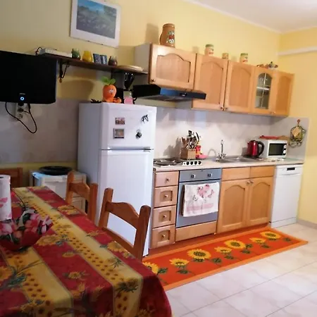 Apartment At The With Your Dog *