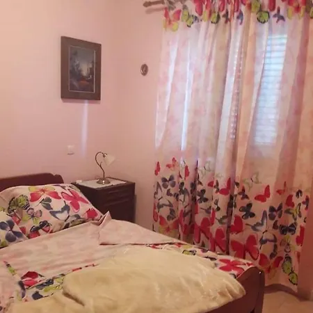 Apartment At The With Your Dog *