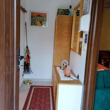 At The With Your Dog Apartment