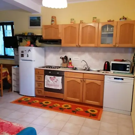 Apartment At The With Your Dog