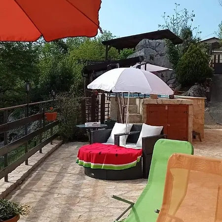 At The With Your Dog Apartment *