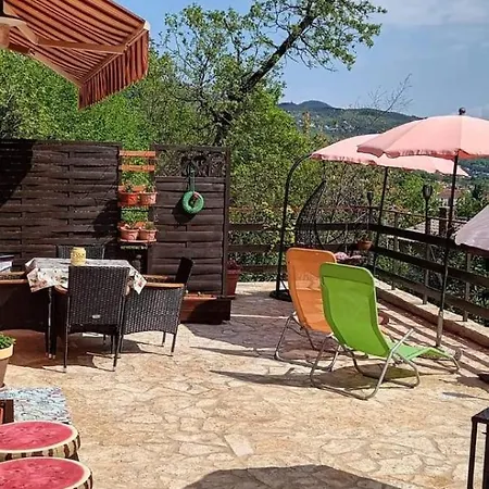 Apartment At The With Your Dog