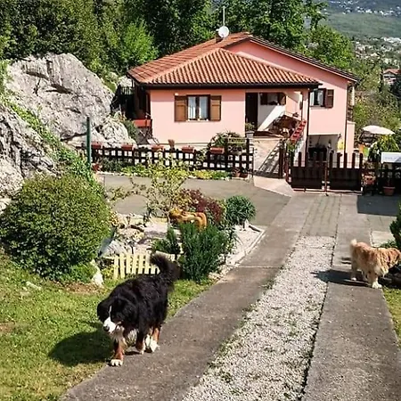 At The With Your Dog